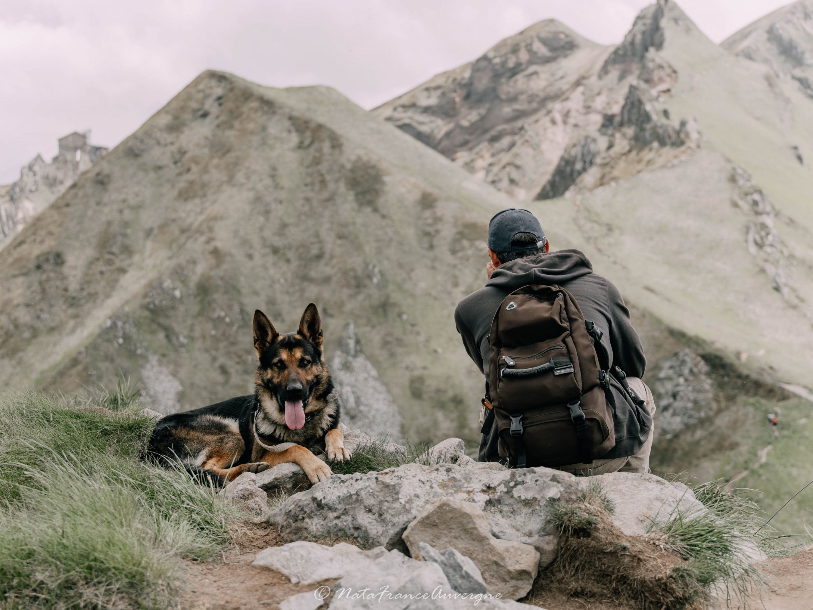 Altaï Massif du Sancy juin 2023 by @NataFranceAuvergne-8955 (4)